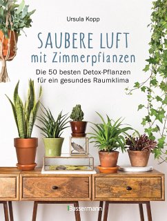 Saubere Luft mit Zimmerpflanzen von Bassermann