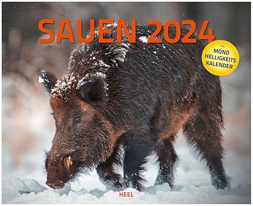 Sauen Kalender 2024 Jagd-Kalender im XXL-Format: Mit Mondhelligkeitskalender. Jäger-Kalender Wildschweine von HEEL Verlag