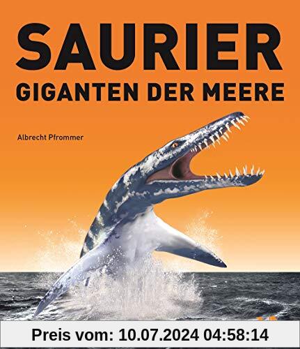 Saurier - Giganten der Meere: Ein Familien-Mitmachbuch