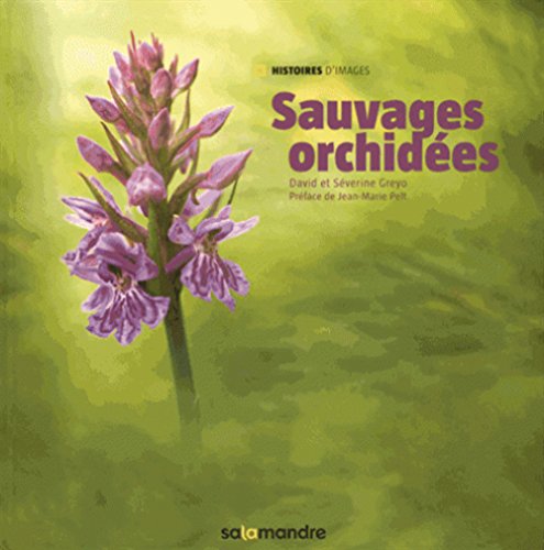 Sauvages orchidées