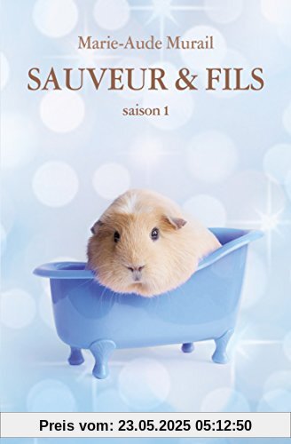 Sauveur et fils - Saison 01