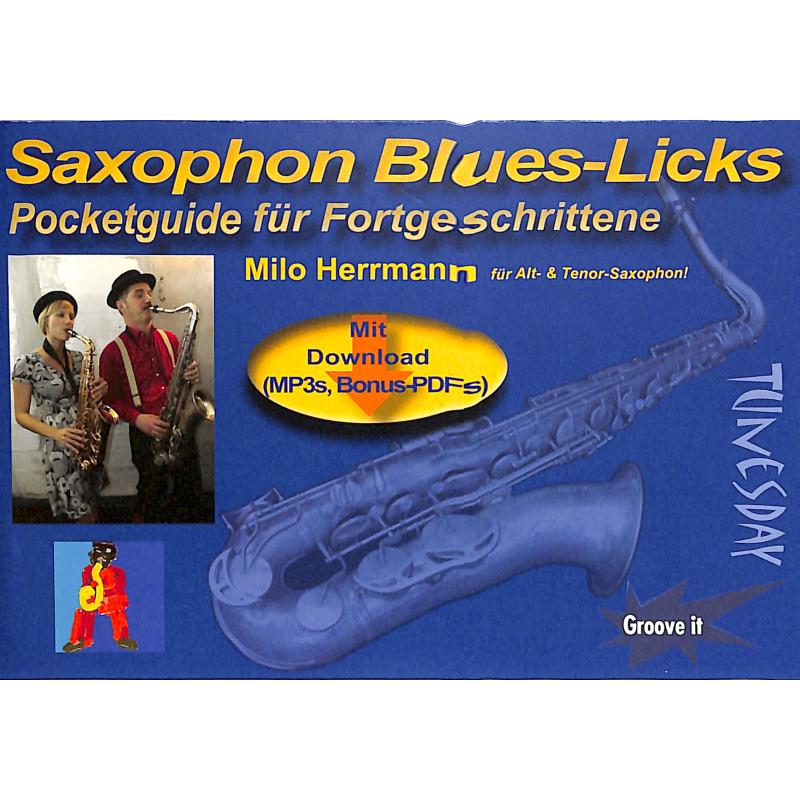 Saxophon Blues Licks