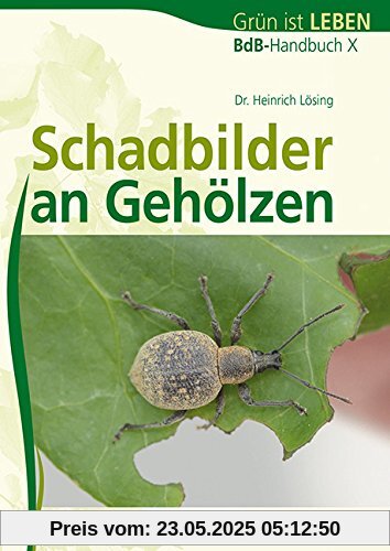 Schadbilder an Gehölzen: BdB-Handbuch X (avBuch im Cadmos Verlag)