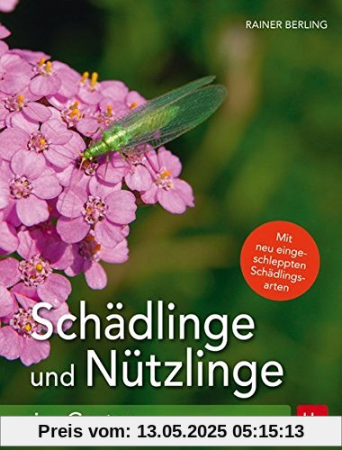 Schädlinge und Nützlinge im Garten: Mit neu eingewanderten Schädlingsarten