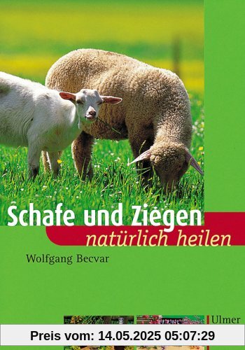 Schafe und Ziegen natürlich heilen