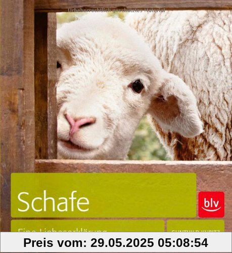 Schafe: Eine Liebeserklärung Schafe: Eine Liebeserklärung