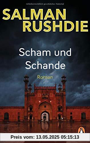 Scham und Schande: Roman