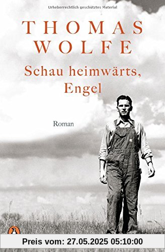 Schau heimwärts, Engel: Roman Schau heimwärts, Engel: Roman