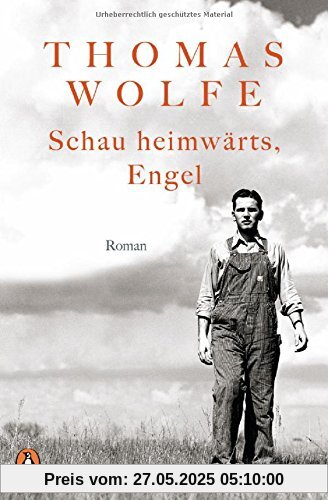 Schau heimwärts, Engel: Roman