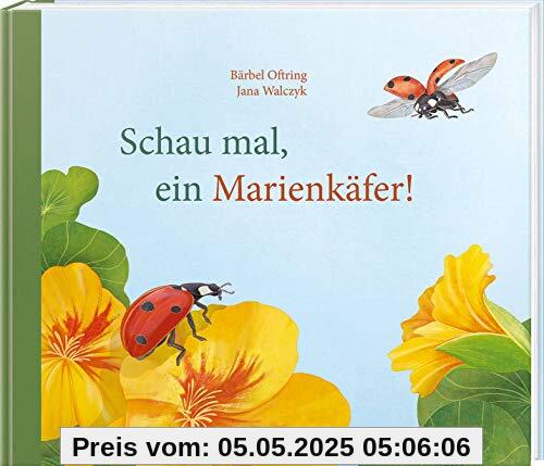 Schau mal, ein Marienkäfer!
