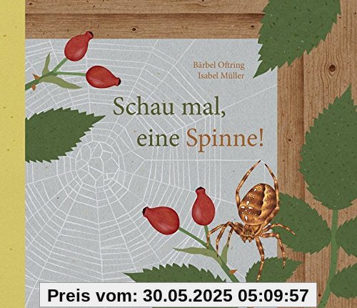 Schau mal, eine Spinne