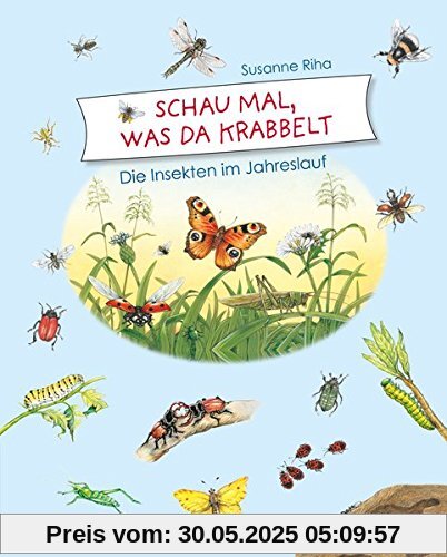 Schau mal, was da krabbelt: Die Insekten im Jahreslauf