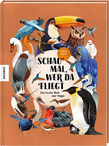 Schau mal, wer da fliegt: Die bunte Welt der Vögel