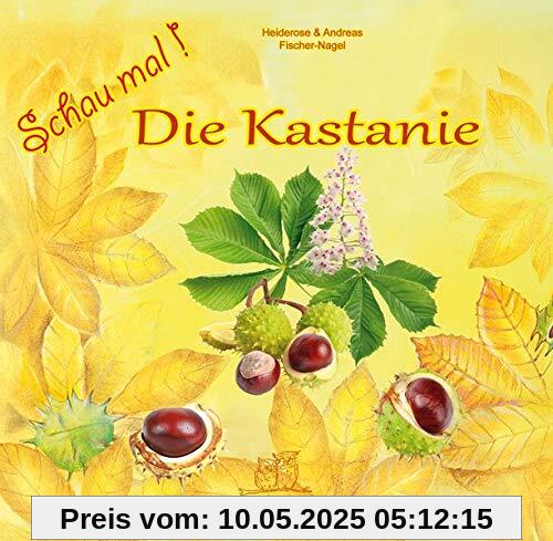 Schau mal Die Kastanie Schau mal Die Kastanie