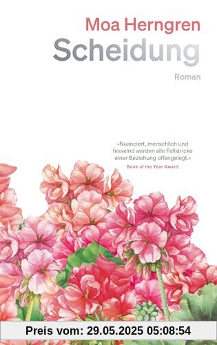 Scheidung: Ein Roman Scheidung: Ein Roman