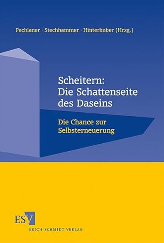Scheitern: Die Schattenseite des Daseins: Die Chance zur Selbsterneuerung von Schmidt, Erich