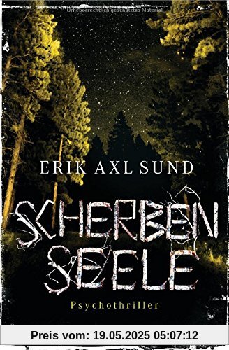 Scherbenseele: Psychothriller (Sund: Die Kronoberg-Reihe, Band 1)