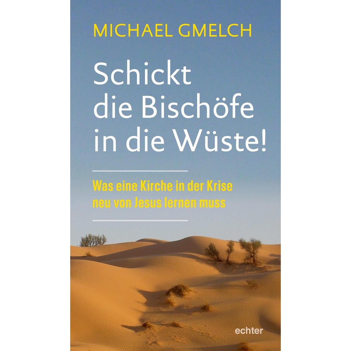 Schickt die Bischöfe in die Wüste! von Echter Verlag GmbH