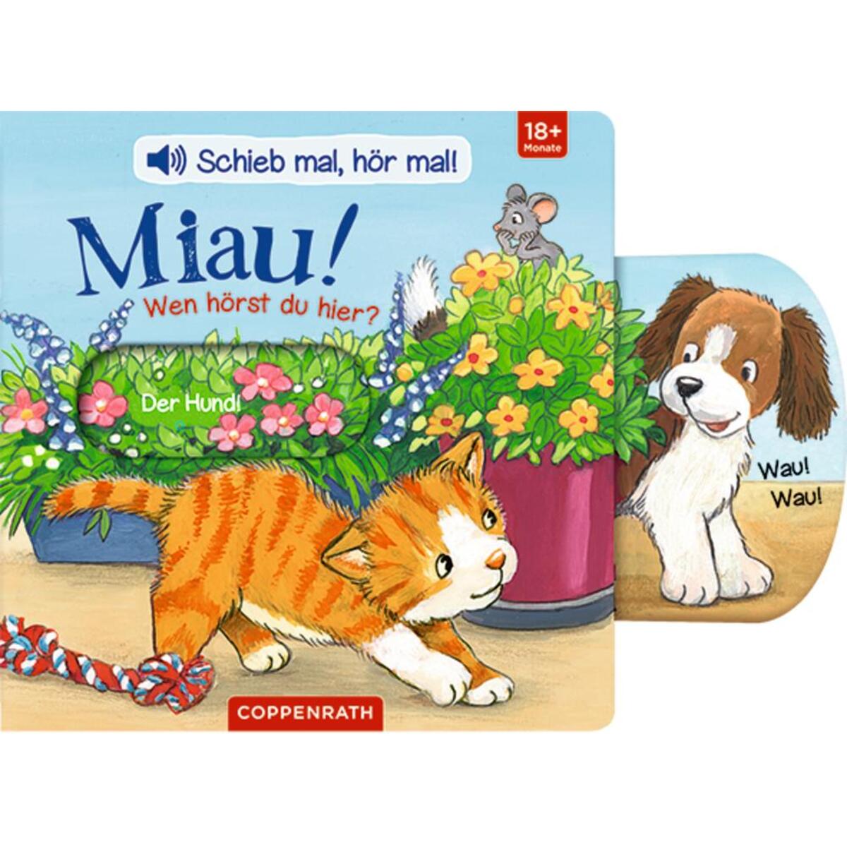 Schieb mal, hör mal!: Miau! Wen hörst du hier? von Coppenrath