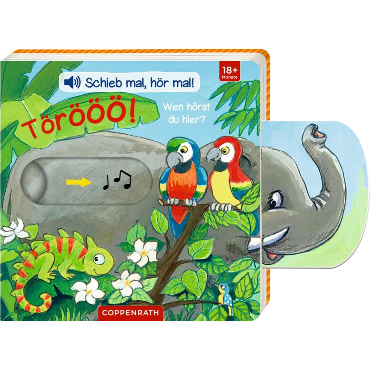 Schieb mal, hör mal!: Törööö! Wen hörst du hier? von Coppenrath