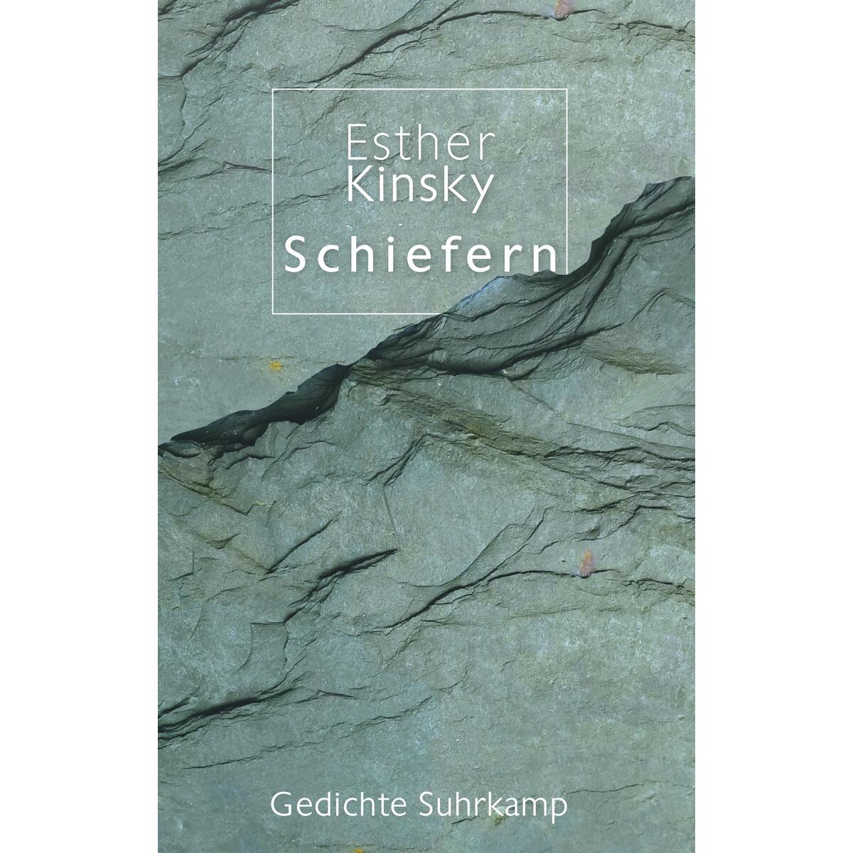 Schiefern Schiefern von Suhrkamp Verlag