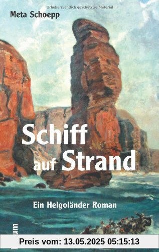 Schiff auf Strand: Ein Helgoländer Roman