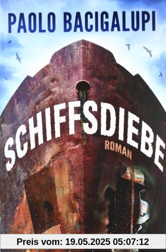 Schiffsdiebe: Roman (Heyne fliegt)