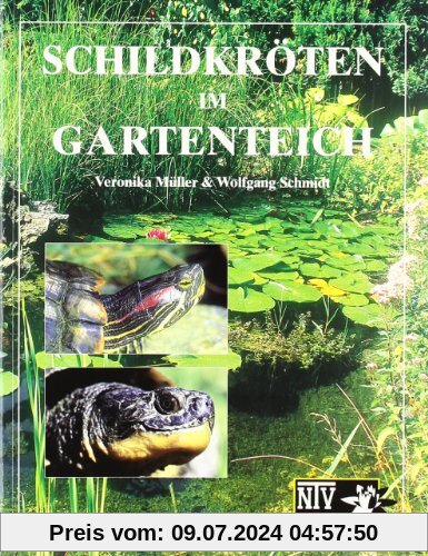 Schildkröten im Gartenteich