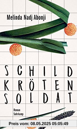 Schildkrötensoldat: Roman (suhrkamp taschenbuch)