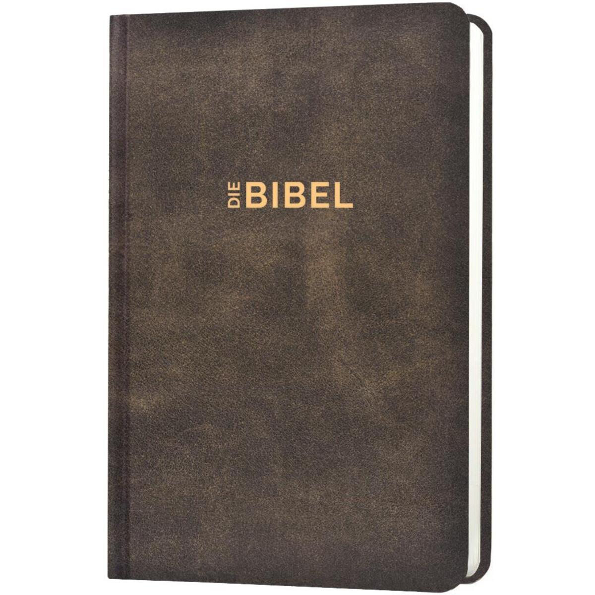 Schlachter 2000 Bibel - Taschenausgabe (Hardcover, illustrierter Einband, Antikl... Schlachter 2000 Bibel - Taschenausgabe (Hardcover, illustrierter Einband, Antikl... von CLV-Christliche