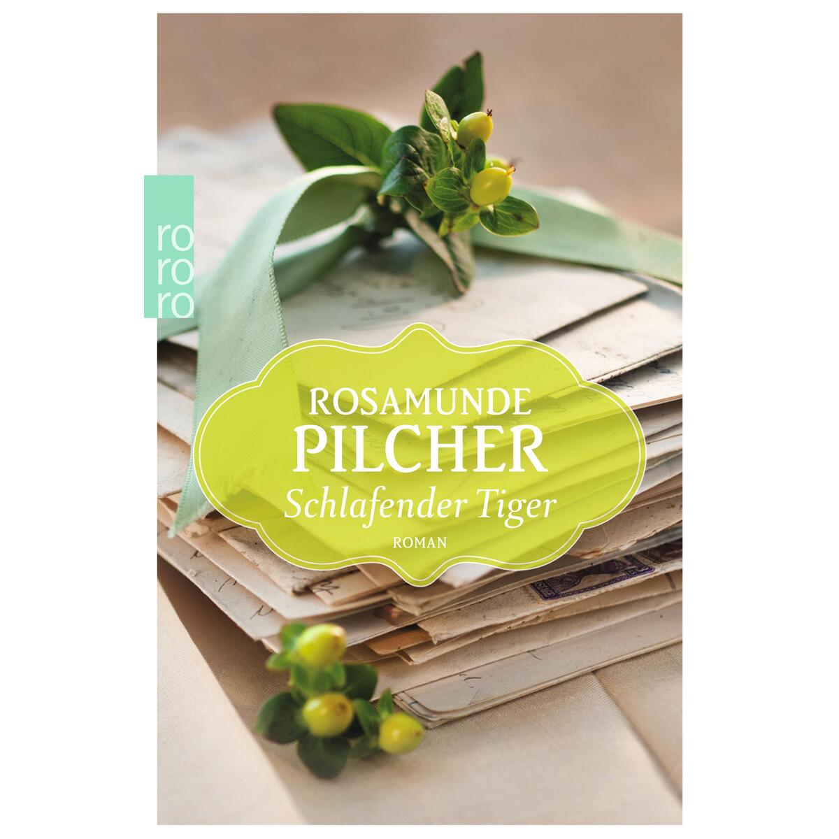 Schlafender Tiger von Rowohlt Taschenbuch
