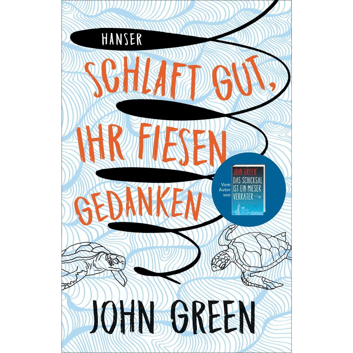 Schlaft gut, ihr fiesen Gedanken Schlaft gut, ihr fiesen Gedanken von Carl Hanser Verlag
