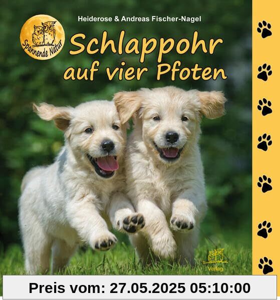 Schlappohr auf vier Pfoten Schlappohr auf vier Pfoten