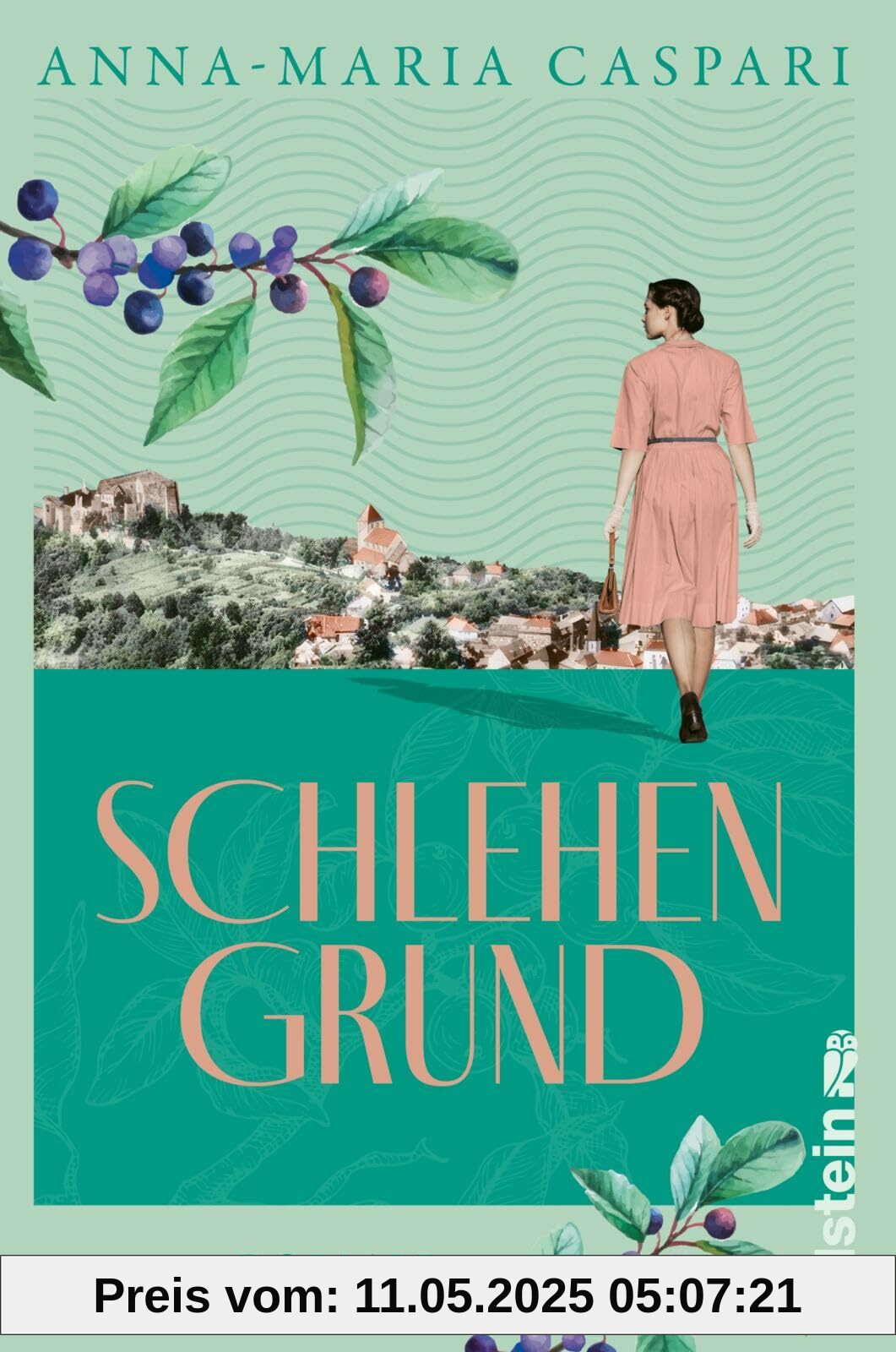 Schlehengrund: Roman | Zwei Familien auf der Suche nach Heimat
