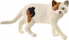 Schleich 13894 - Farm World, Amerikanische Kurzhaarkatze, Katze, Tierfigur von Schleich