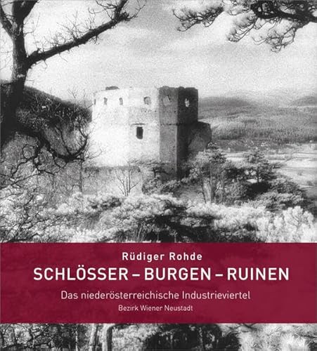Schlösser – Burgen – Ruinen: Das niederösterreichische Industrieviertel, Bezirk Wiener Neustadt