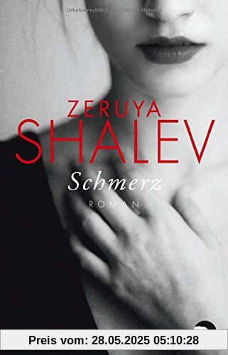 Schmerz: Roman