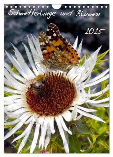 Schmetterlilnge und Blumen (Wandkalender 2025 DIN A4 hoch), CALVENDO Monatskalender