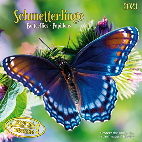 Schmetterlinge 2023: Kalender 2023 (Artwork Edition)