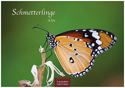 Schmetterlinge 2024 S 24x35cm von CASARES EDITION