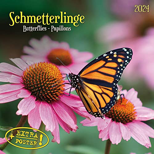 Schmetterlinge 2024: Kalender 2024 (Artwork Edition) von Tushita PaperArt