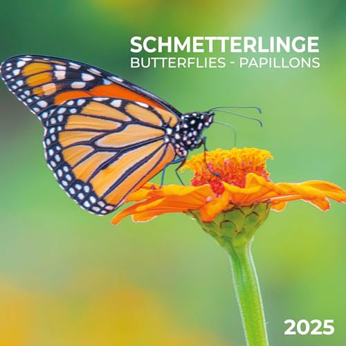 Schmetterlinge 2025: Kalender 2025 (Artwork Edition)