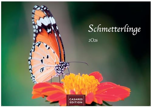 Schmetterlinge 2026 L 35x50cm von CASARES EDITION
