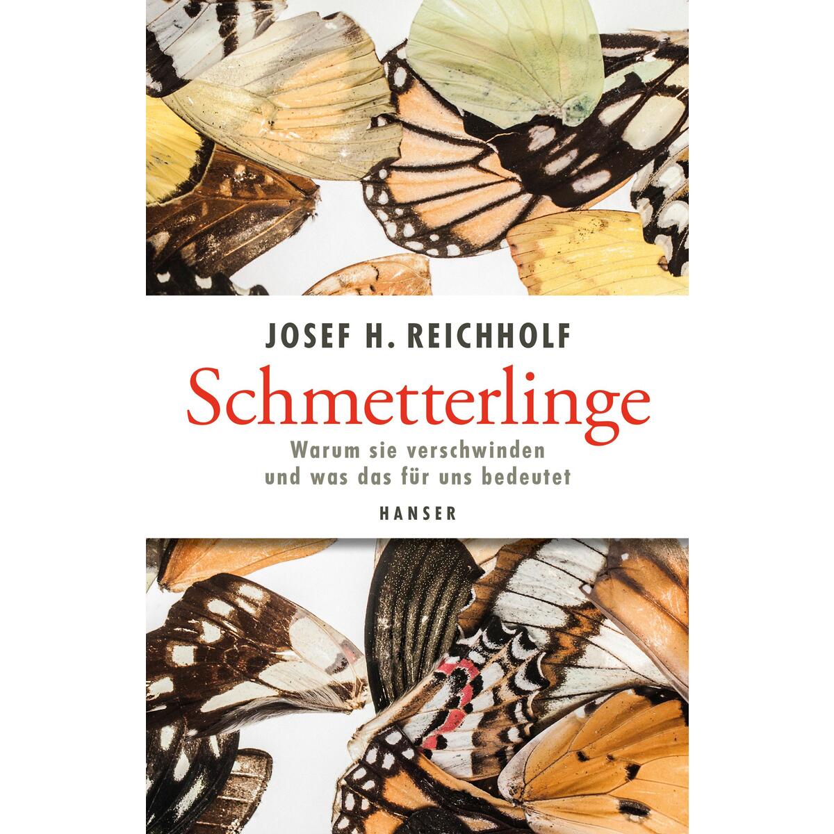 Schmetterlinge von Carl Hanser Verlag