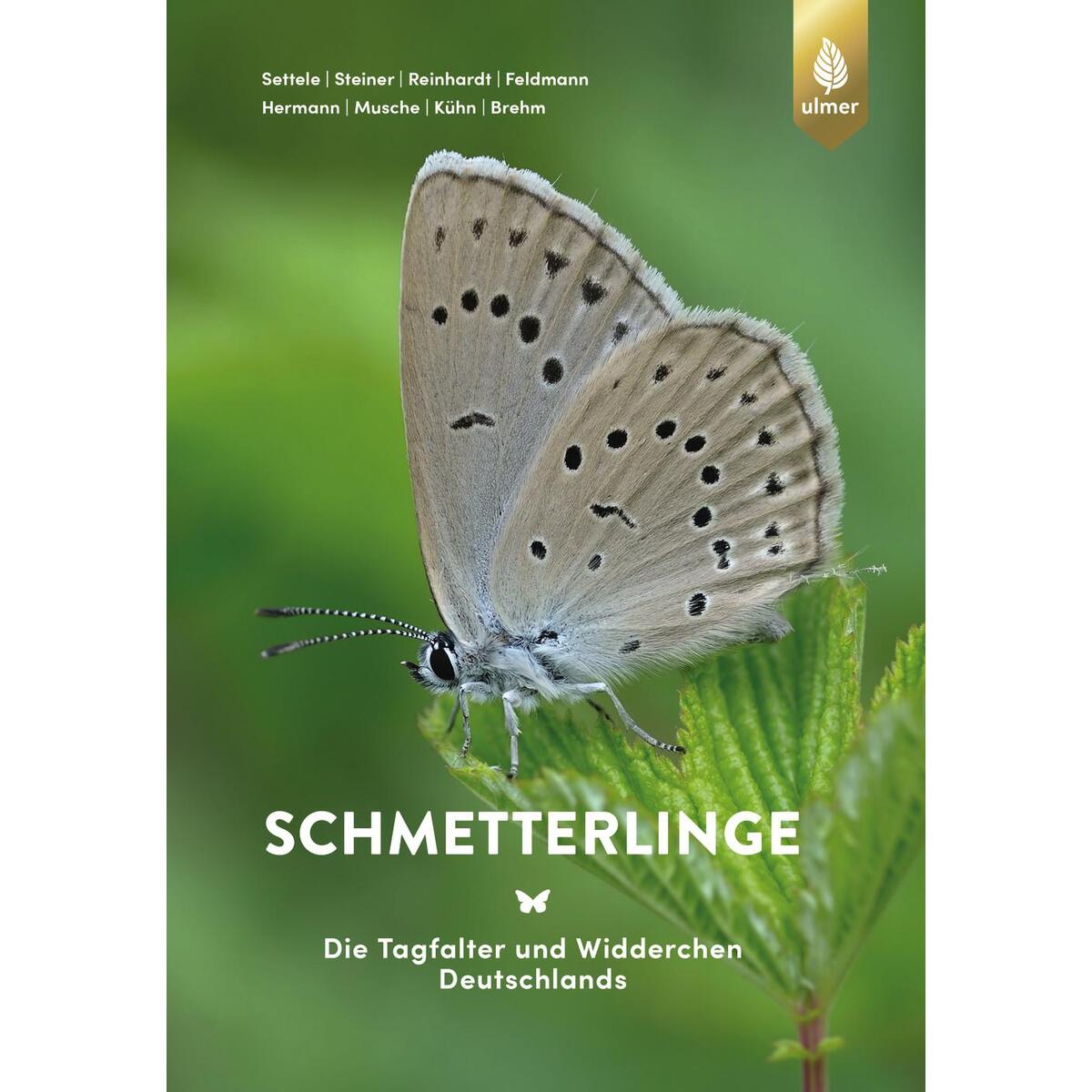 Schmetterlinge von Ulmer Eugen Verlag