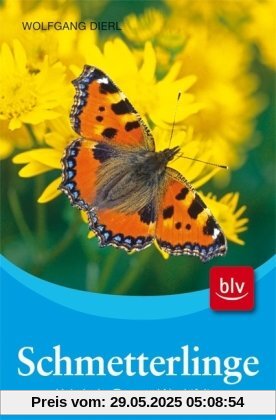 Schmetterlinge: Heimische Tag- und Nachtfalter Schmetterlinge: Heimische Tag- und Nachtfalter