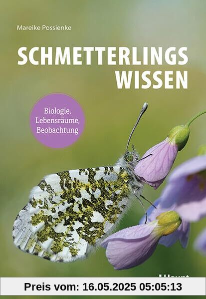 Schmetterlingswissen: Biologie, Lebensräume, Beobachtung