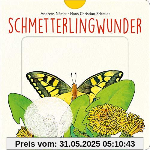 Schmetterlingwunder Schmetterlingwunder
