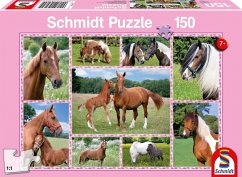 Schmidt 56269 - Puzzle, Pferdeträume, Kinderpuzzle, 150 Teile von Schmidt Spiele