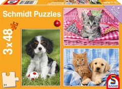 Schmidt 56361 - Meine liebsten Haustierbabys, Tiere-Kinderpuzzle, 3x48 Teile von Schmidt Spiele